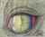 Ojo de dragon