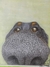 Perro