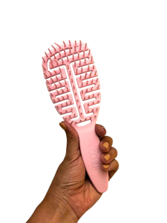 Cepillo CELE anti frizz en internet
