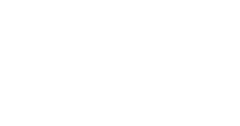 LIBÉLULA STORE