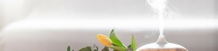 Banner de la categoría Difusores de esencias