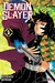 Imagen de DEMON SLAYER: KIMETSU NO YAIBA