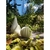 Kit 3 Velas Geometricas Artesanal - comprar online
