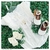 PIMPÃO INFANTIL ETERNA ELEGÂNCIA OFF WHITE ROANA