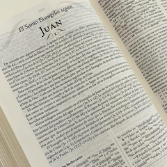 Palabra Clave Biblia de Estudio en internet