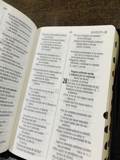 Santa Biblia RVR1960 Letra Grande - comprar online