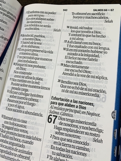 Santa Biblia RVR1960 Letra Super Gigante. - comprar online