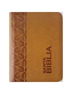 Santa Biblia RVR 1960