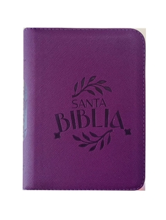 Santa Biblia RVR 1960