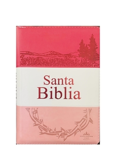 Santa Biblia RVR1960 Letra Grande