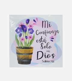 Cuadro 20x20