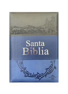 Santa Biblia RVR1960 Letra Grande - comprar online