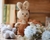 Colección babys animalitos. Parte 1 - comprar online