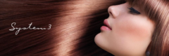 Banner de la categoría SYSTEM 3