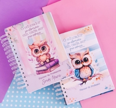 Planner Do Professor