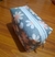 Cartuchera Flor