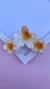 Piranha Flor Catarina - loja online