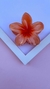 Piranha Flor Beca - comprar online