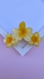 Imagem do Piranha Flor Catarina