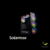 SOLARMAX CM 5901