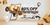 Banner rotativo 1