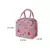Imagem do Lunch Bag Isolado para Mulheres e Crianças, Saco Térmico, Caixa Térmica, Port