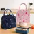 Lunch Bag Isolado para Mulheres e Crianças, Saco Térmico, Caixa Térmica, Port na internet