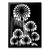 Quadro Decorativo A2 Floral Branco e Preto Moldura Tradicional na internet