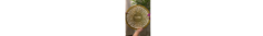 Banner da categoria Religiosas