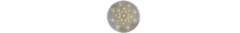 Banner da categoria Mandalas