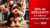 Imagem do banner rotativo 5