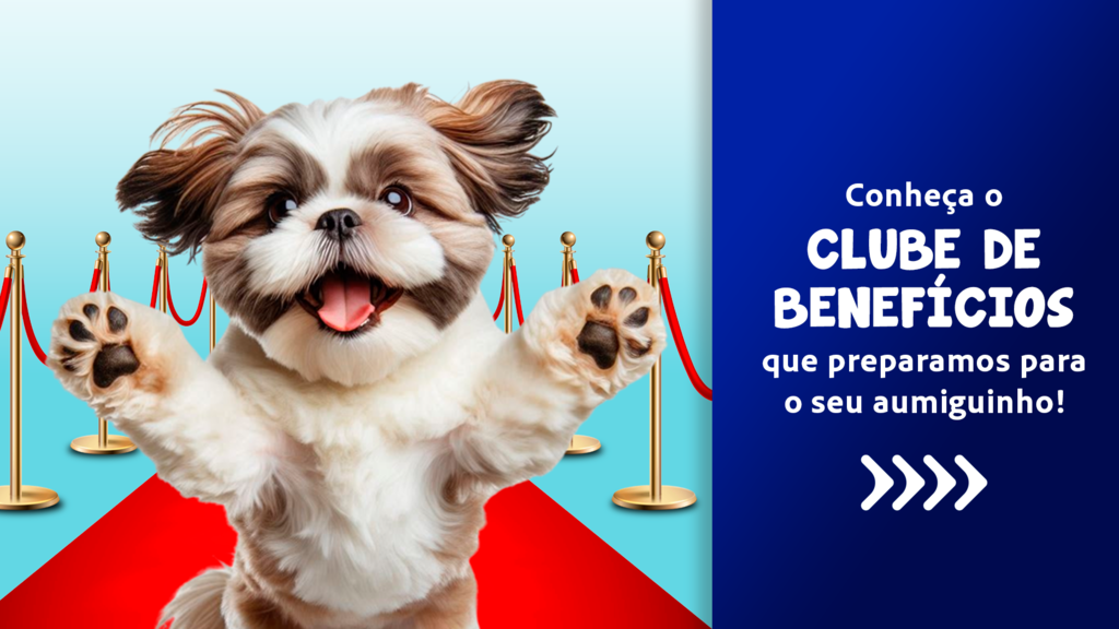 Imagem do banner rotativo 1