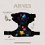 ARNES REGULABLE