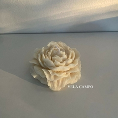 peonia