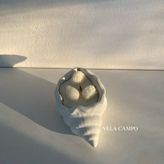 Caracol de mar - comprar online