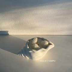 Caracol de mar