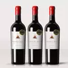La Gesta x3 Malbec - PREMIADO POR TIM ATKIN