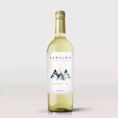 Seis miles torrontés x 6 unidades