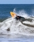 Carrusel Kahuma Surf
