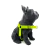 Peitoral Anti-Puxão Verde Neon - comprar online