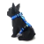 Peitoral H + Guia Booty Blue - HavaDog Acessórios Pet