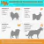 Peitoral + Guia Candy para Gato - loja online
