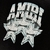 Imagen de Playera Amiri Star