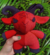 Baphomet meio a meio