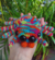Aranha - comprar online