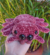 Aranha Pelúcia - comprar online