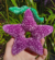 Fruta Estrela Stardew Valley