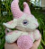 Baphomet Sakura na internet