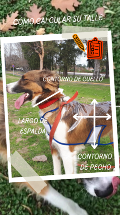Banner de la categoría Abrigos