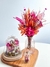 Redoma devocional - Blooming Decor